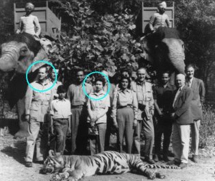 Tigres Reyes ingleses.jpg