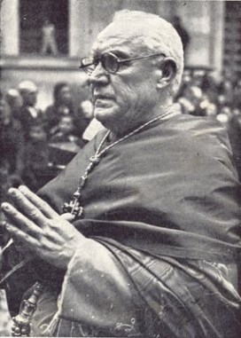 cardenal-goma.jpg
